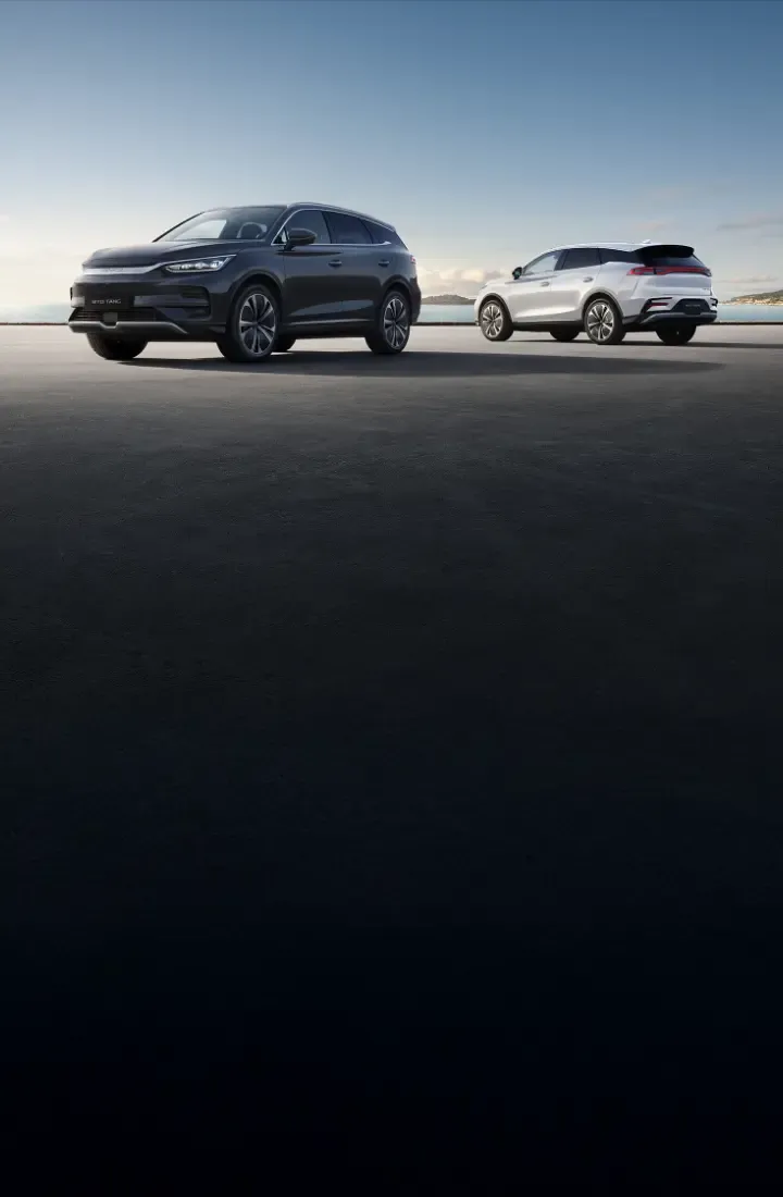 Dois BYD´s Tang parados 