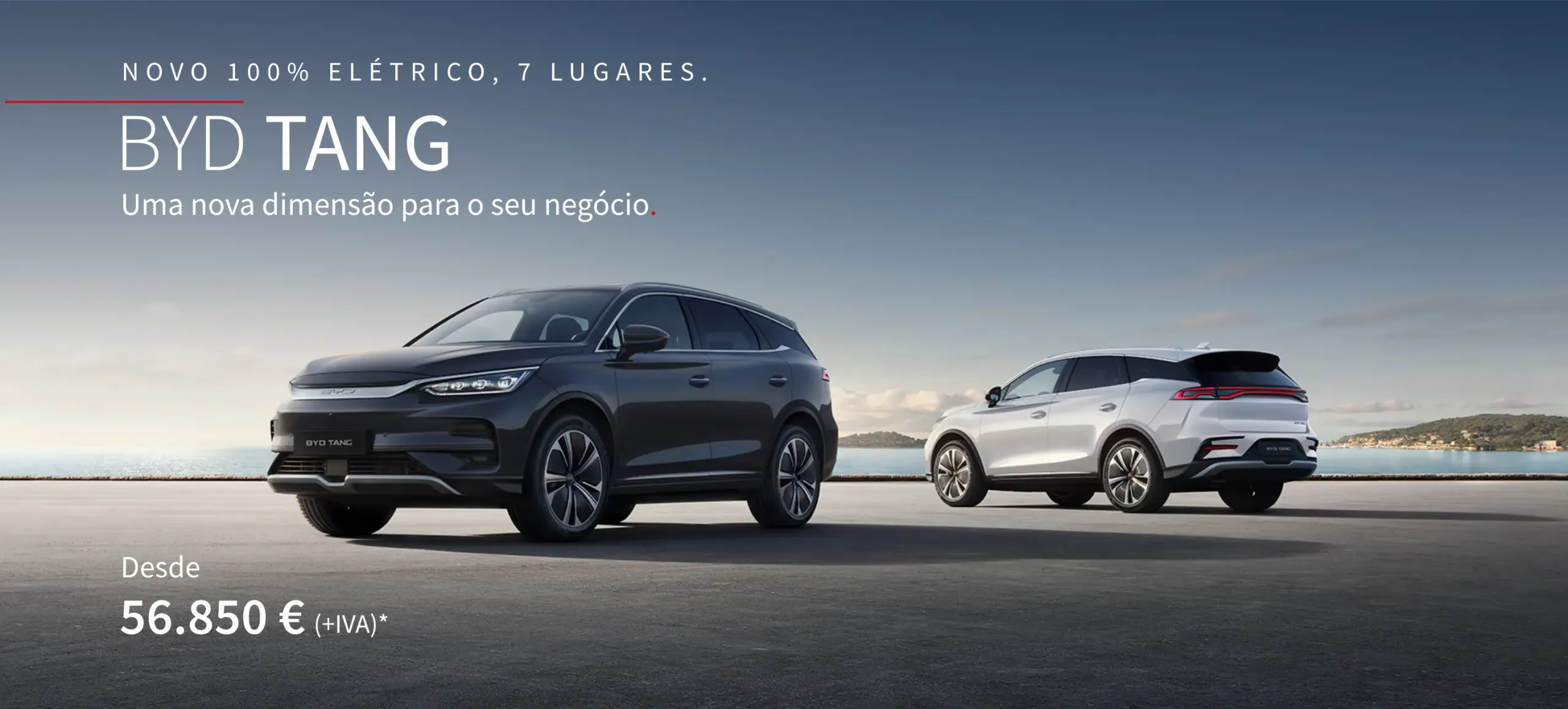 Dois BYD´s Tang parados 