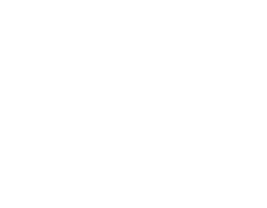 8 anos ou 200.000 km garantia de bateria