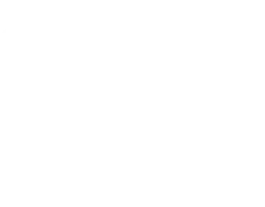 8 anos ou 200.000 km garantia de bateria